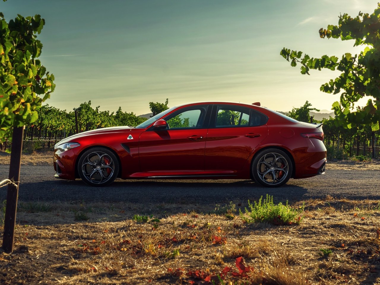 Alfa Romeo Giulia II (952)