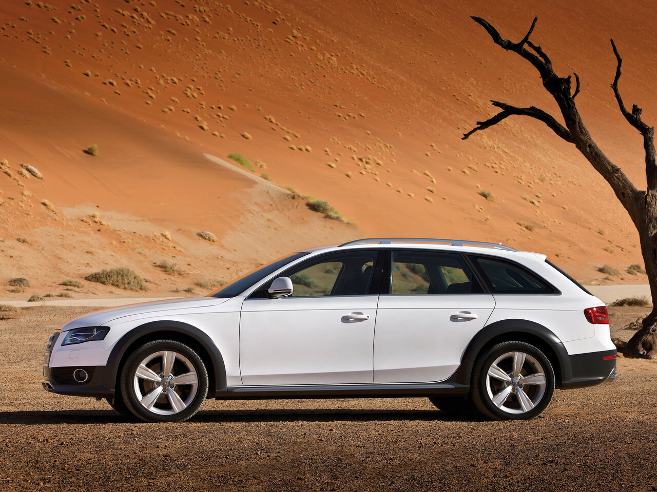 Audi A4 allroad IV (B8)
