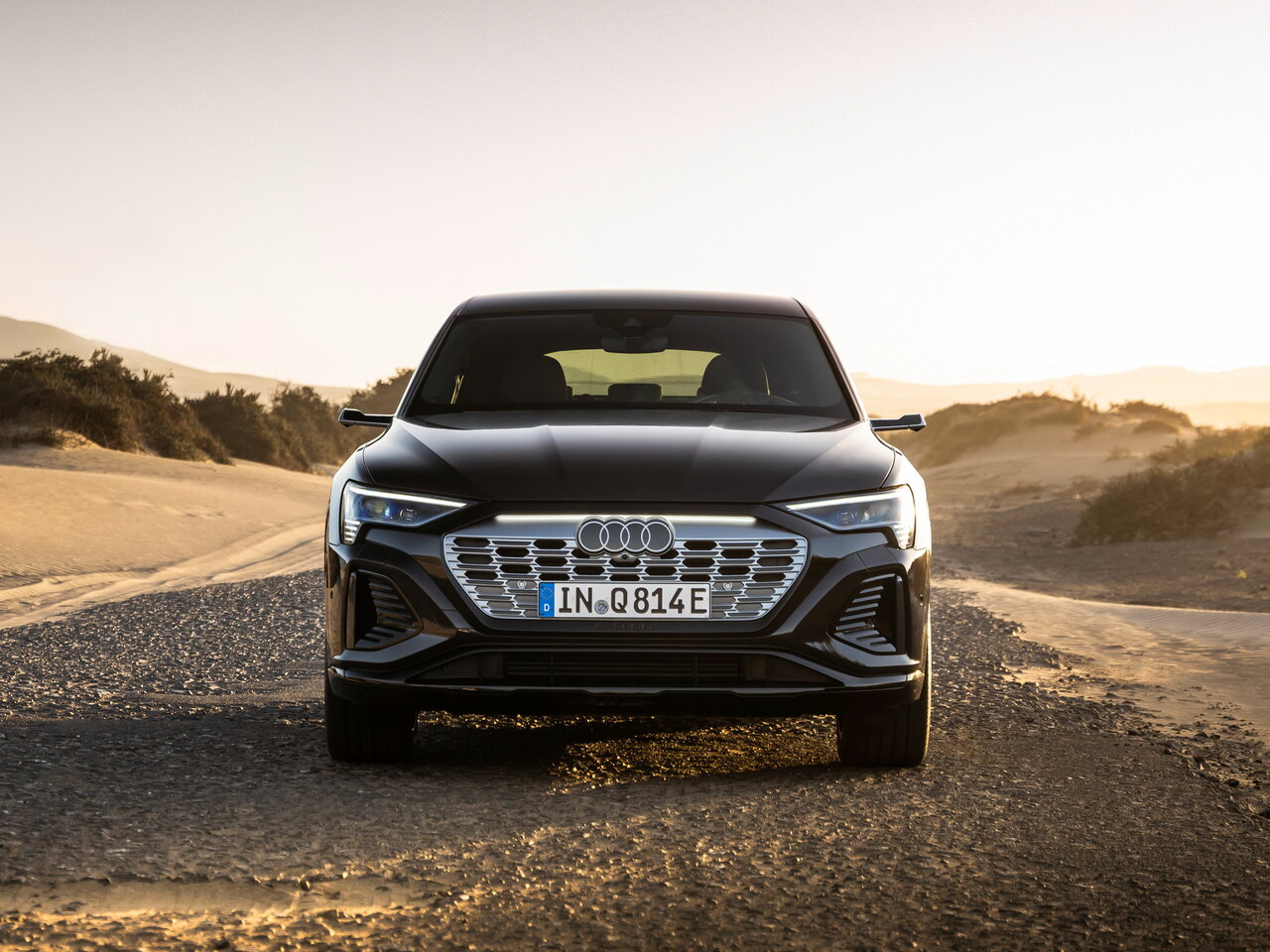 Audi Q8 Sportback e-tron Внедорожник 5 дв.