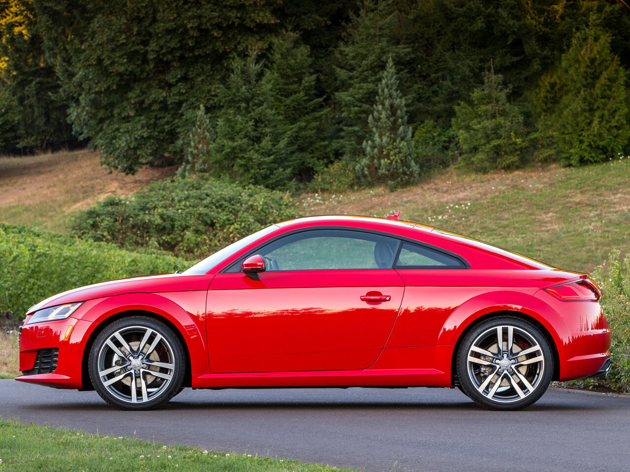 Audi TT III (8S)