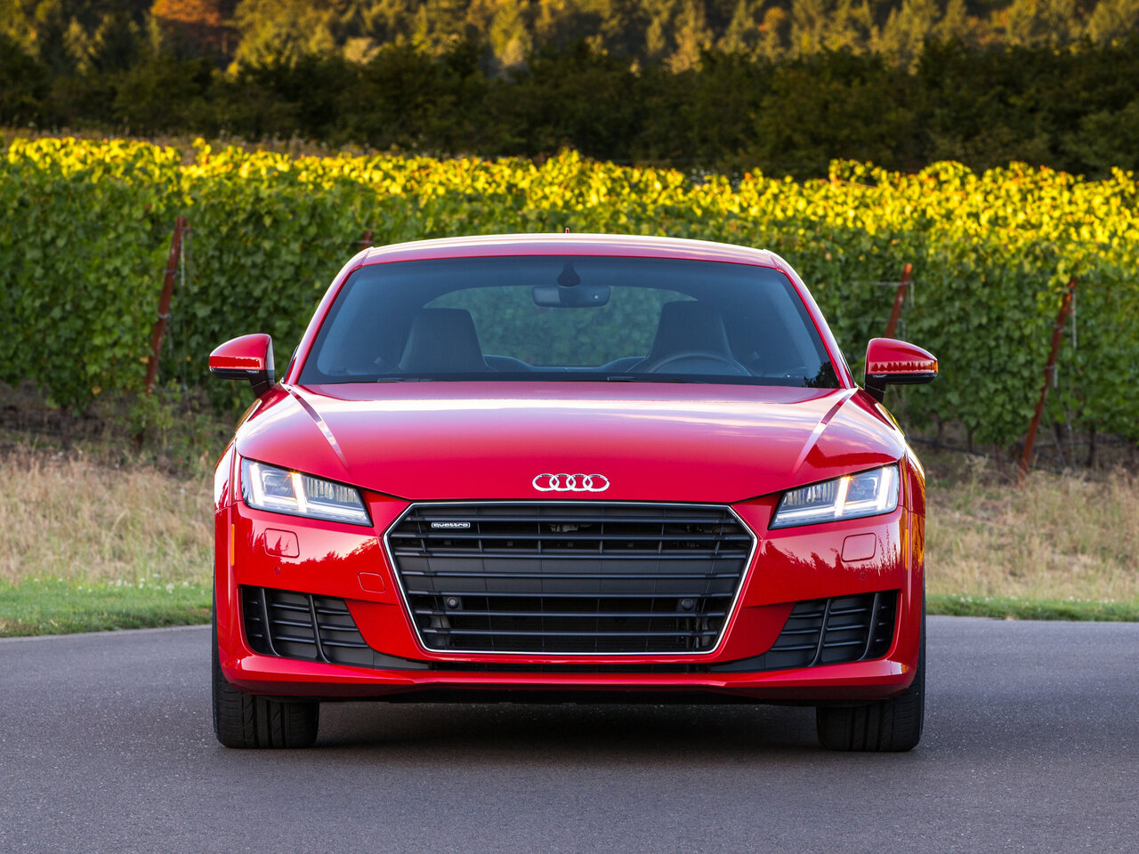 Audi TT III (8S)