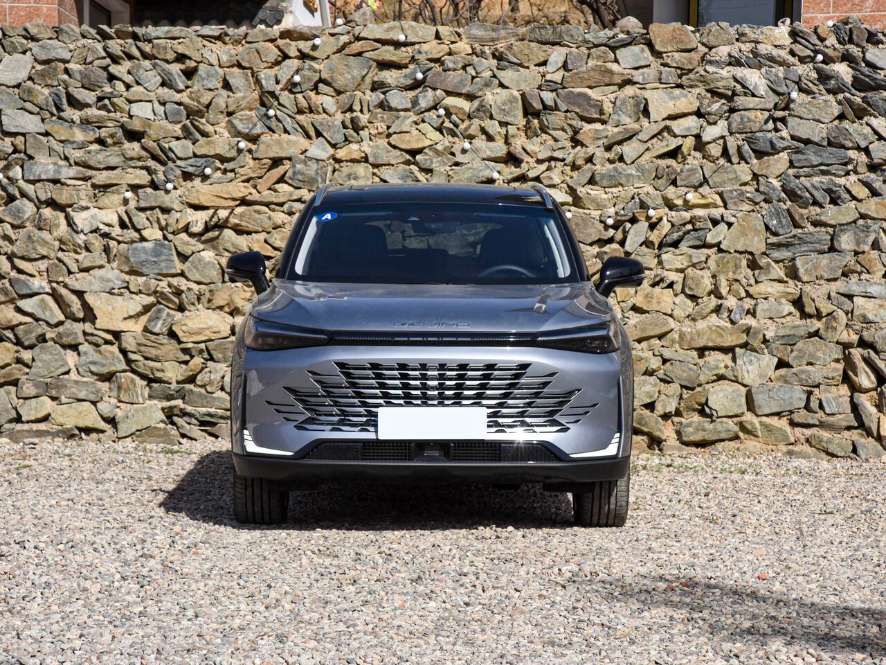 BAIC X75 Внедорожник 5 дв.