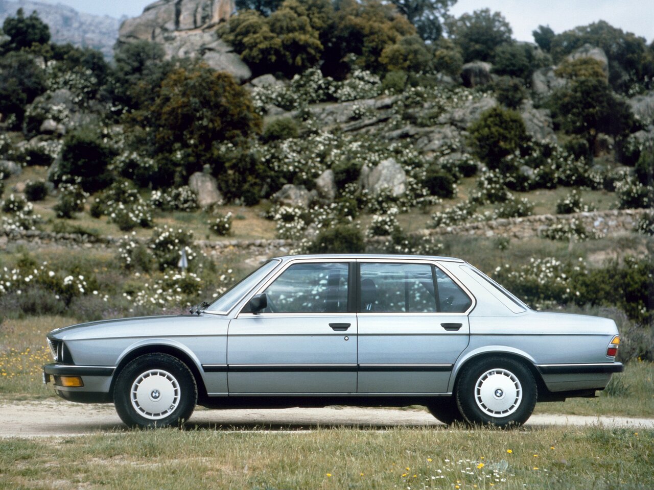 BMW 5 серии II (E28)