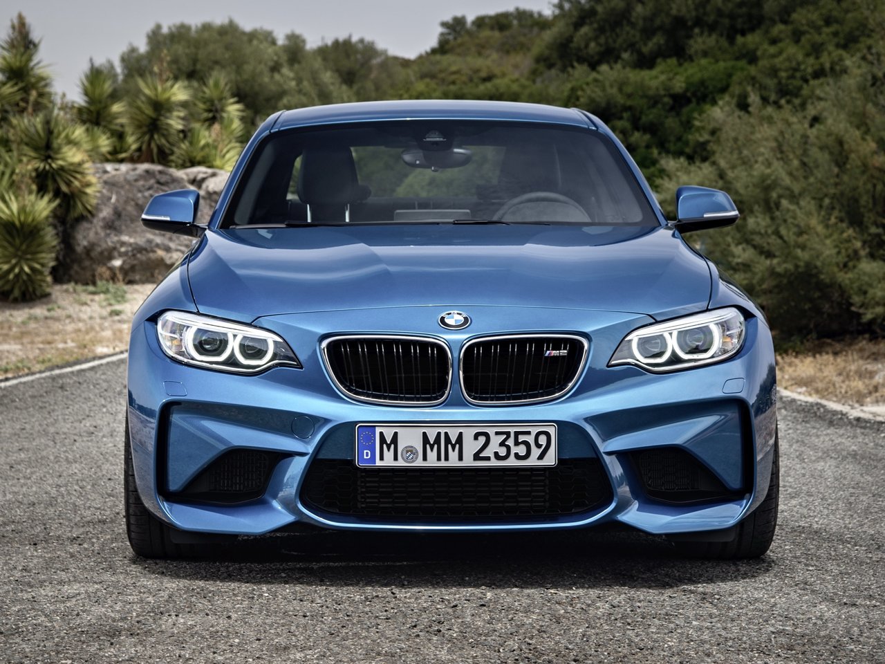 BMW M2 F87