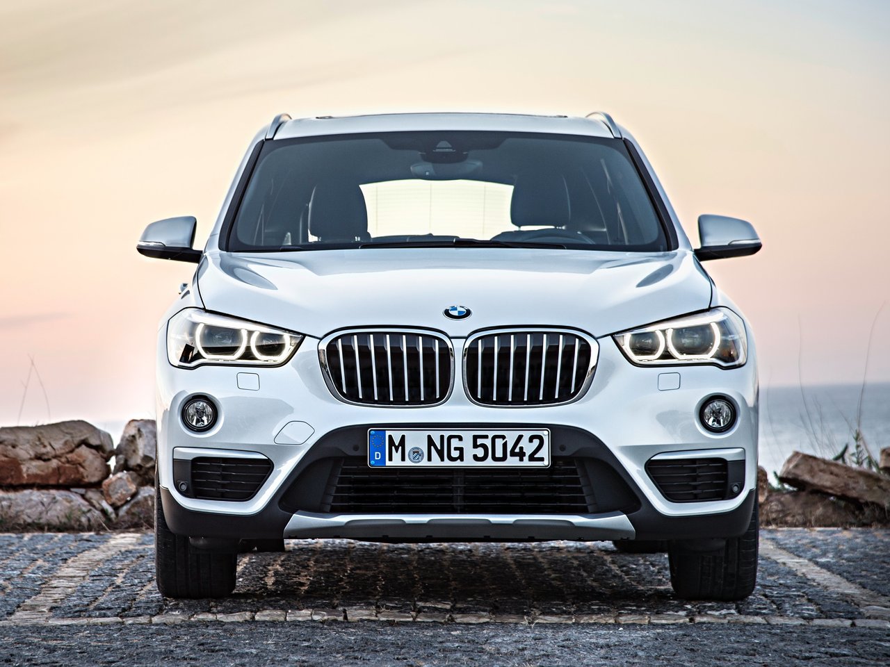 BMW X1 II (F48)