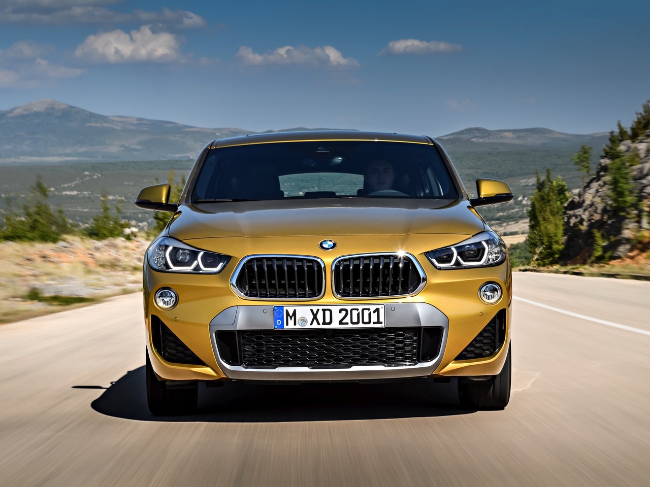 BMW X2 I (F39)