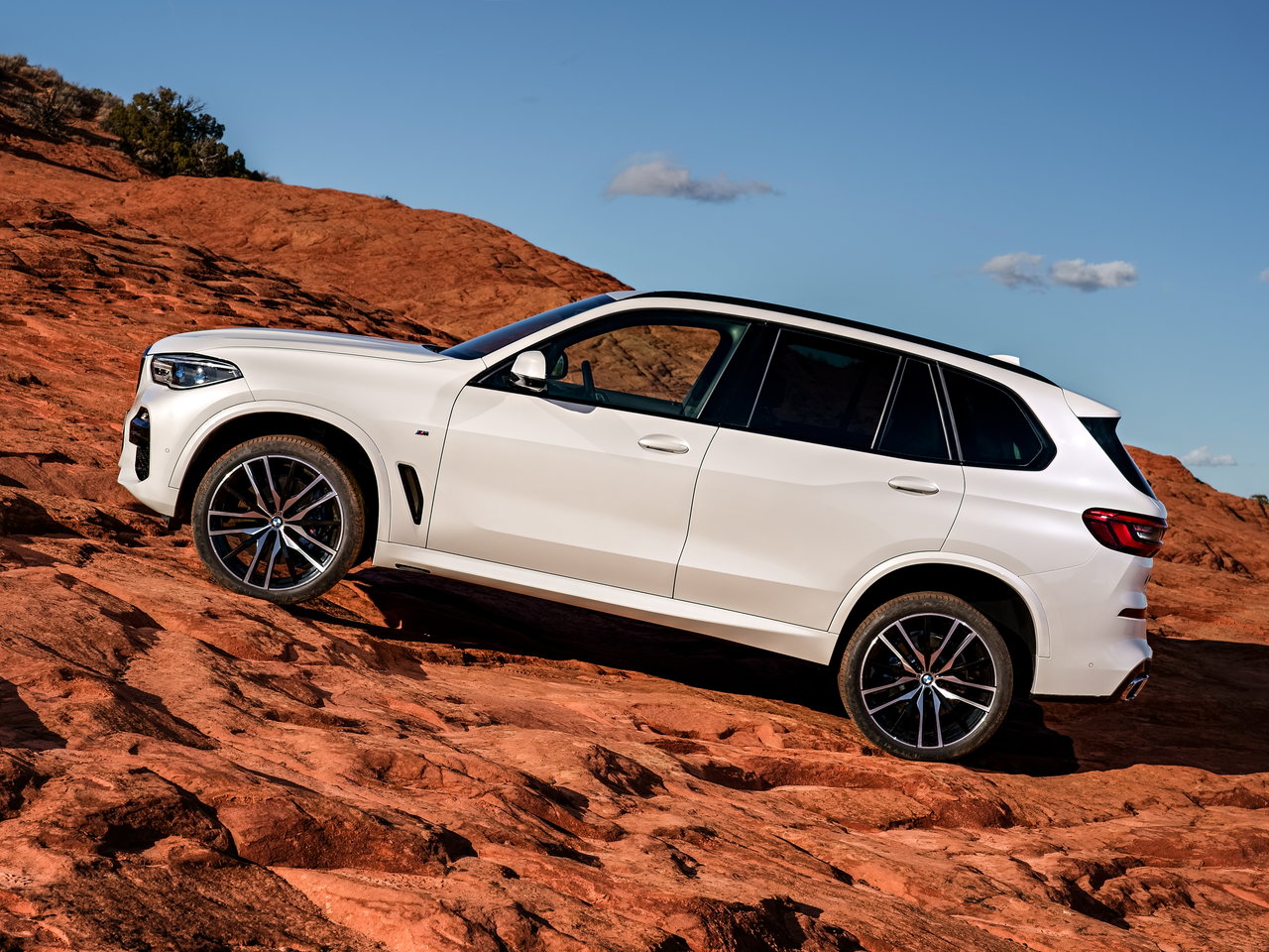 BMW X5 IV (G05/G18)