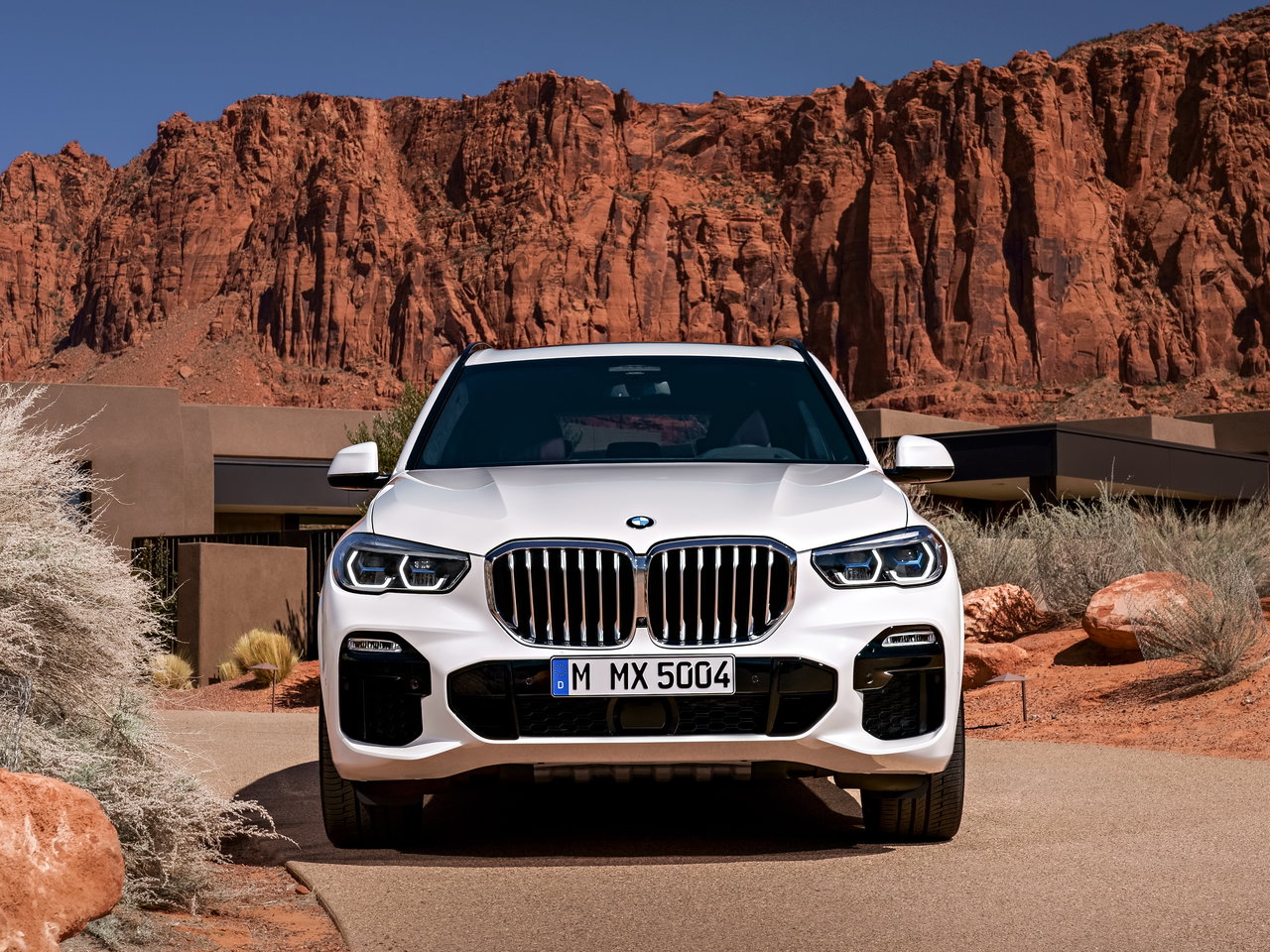 BMW X5 IV (G05/G18)