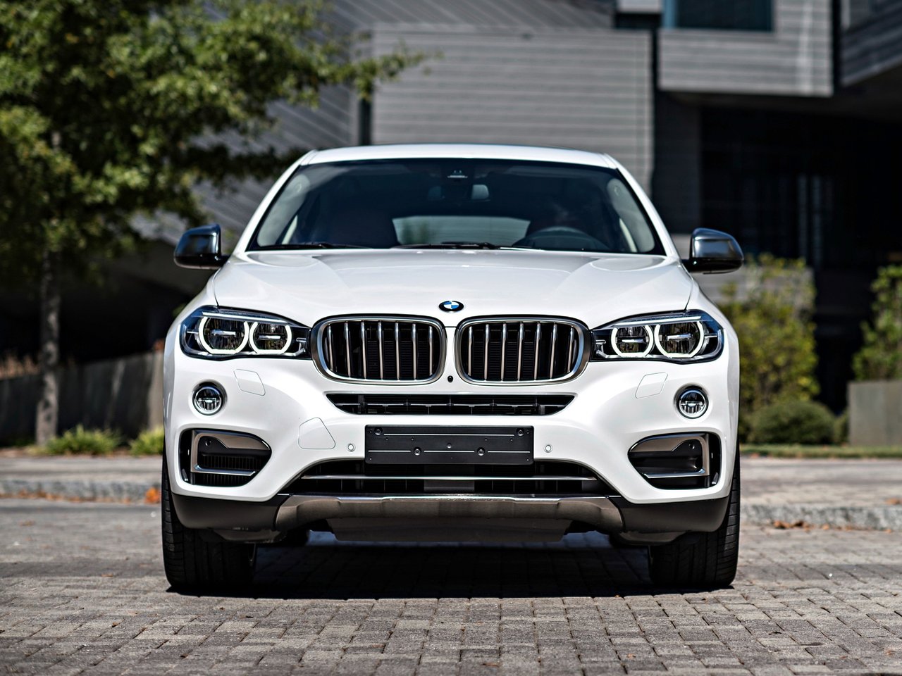 BMW X6 II (F16)