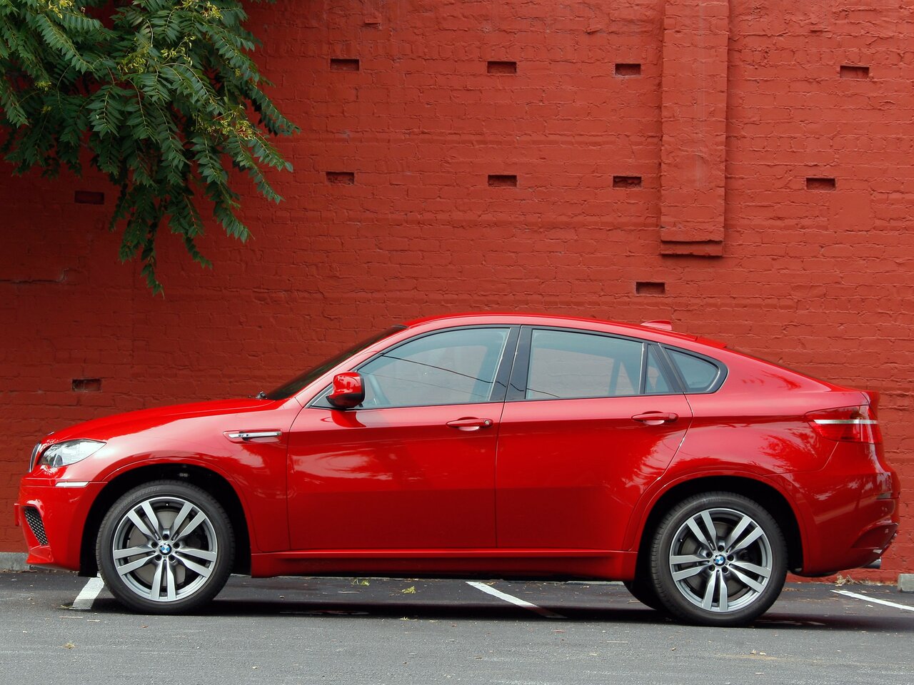BMW X6 M I (E71)