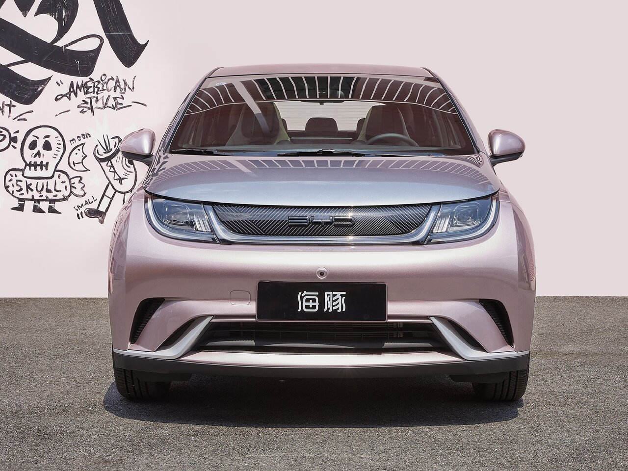BYD Dolphin I