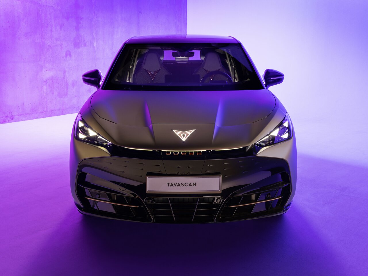 Cupra Tavascan Внедорожник 5 дв.