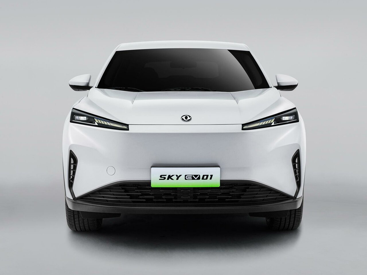 Dongfeng Sky EV01 Внедорожник 5 дв.