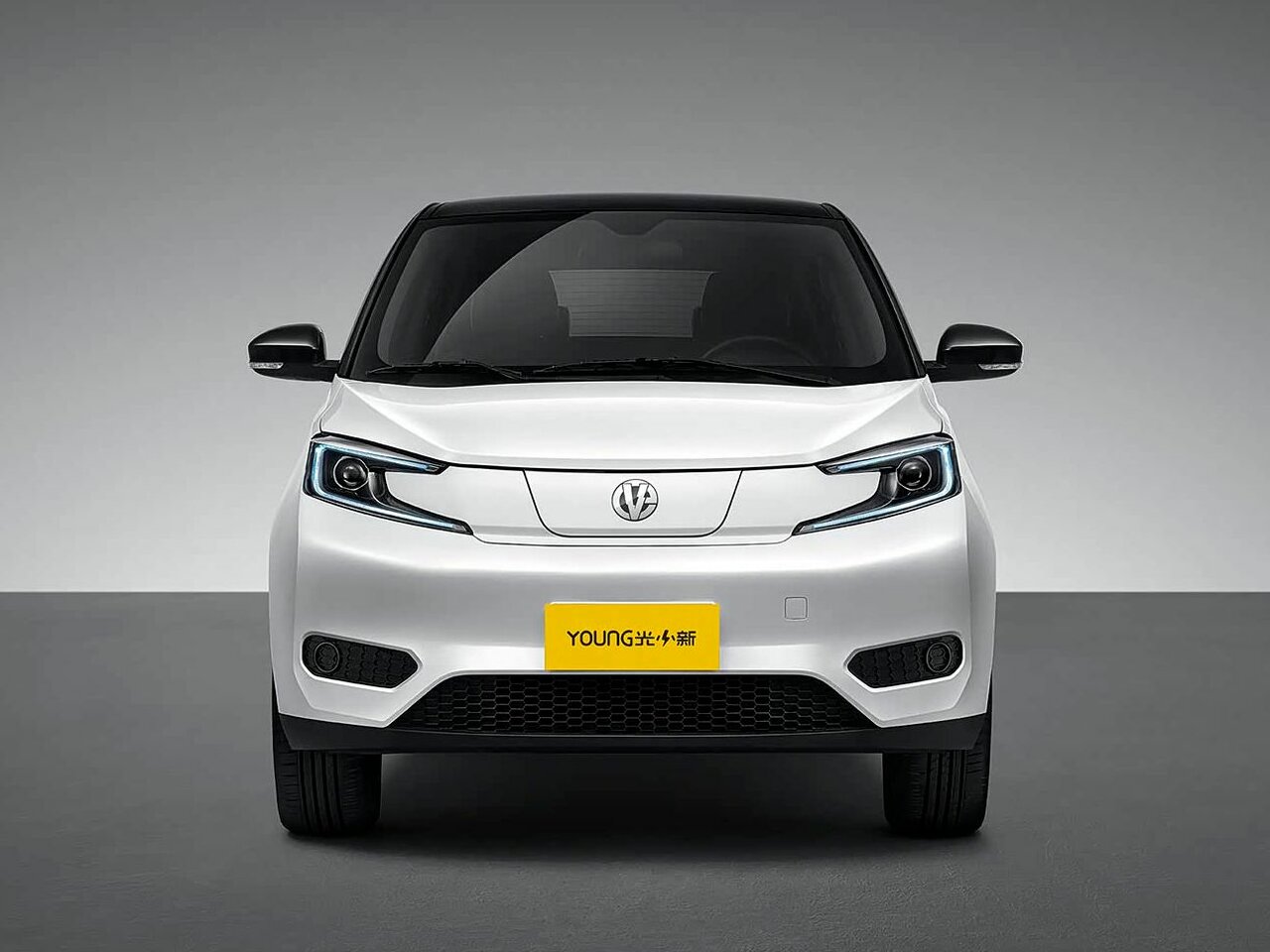 Dongfeng Young Guang Xiaoxin Хэтчбек 5 дв.