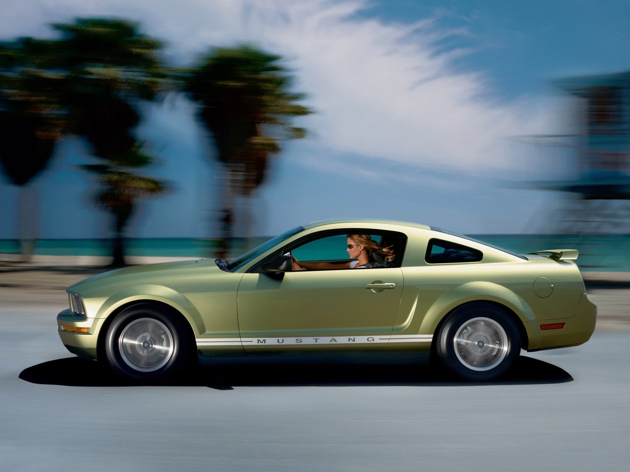 Ford Mustang V