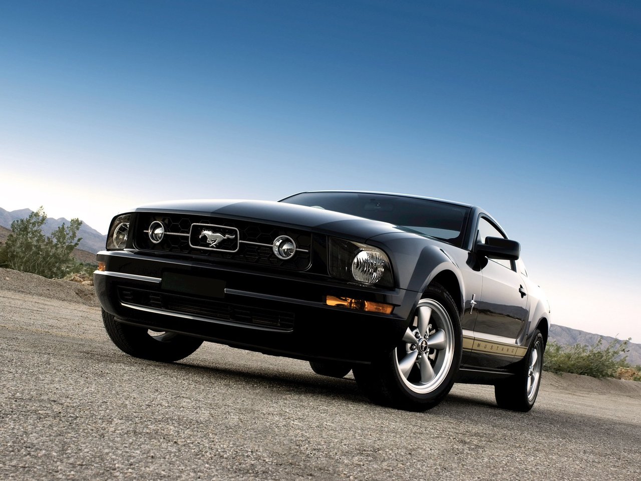 Ford Mustang V