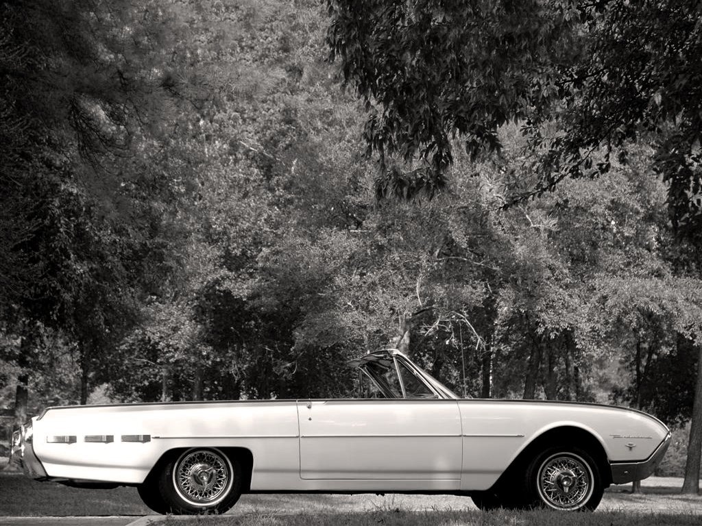 Ford Thunderbird III
