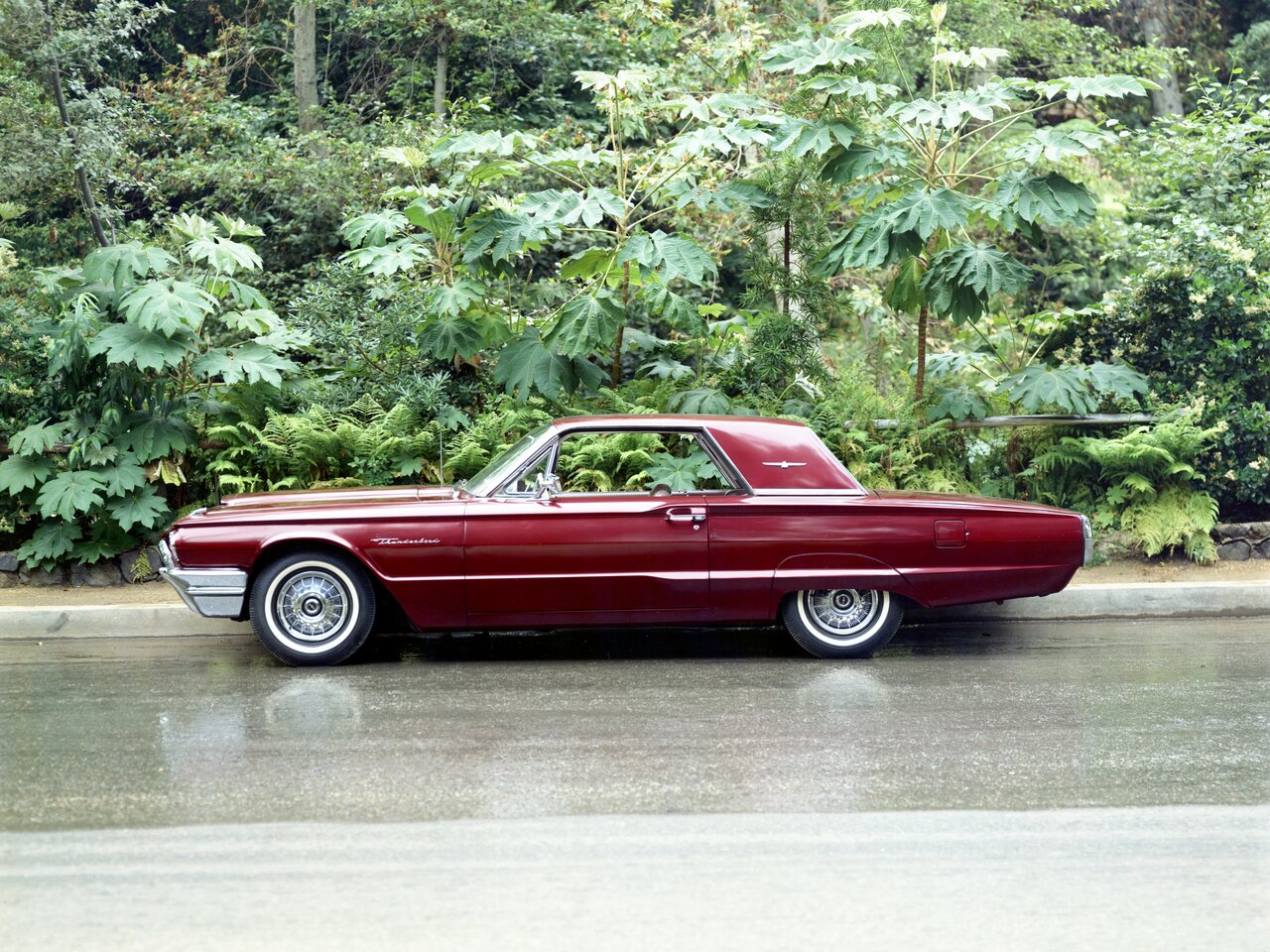 Ford Thunderbird IV