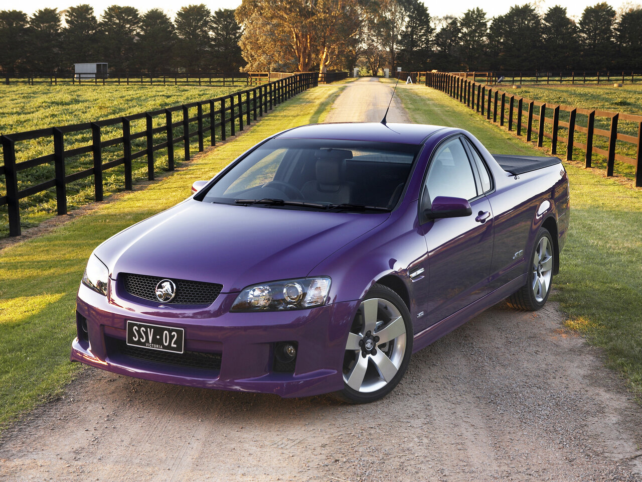 Holden UTE IV