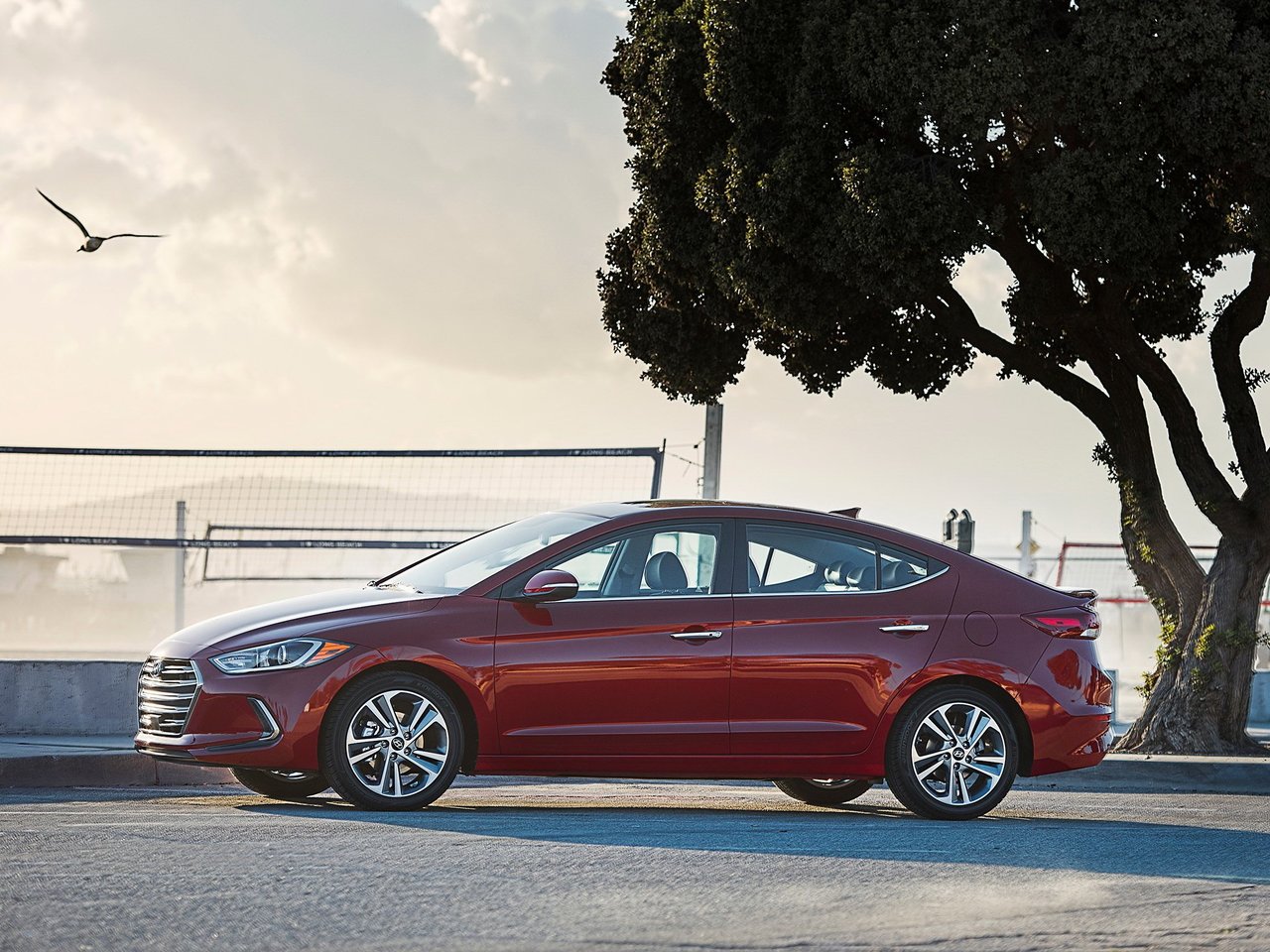 Hyundai Elantra VI (AD)