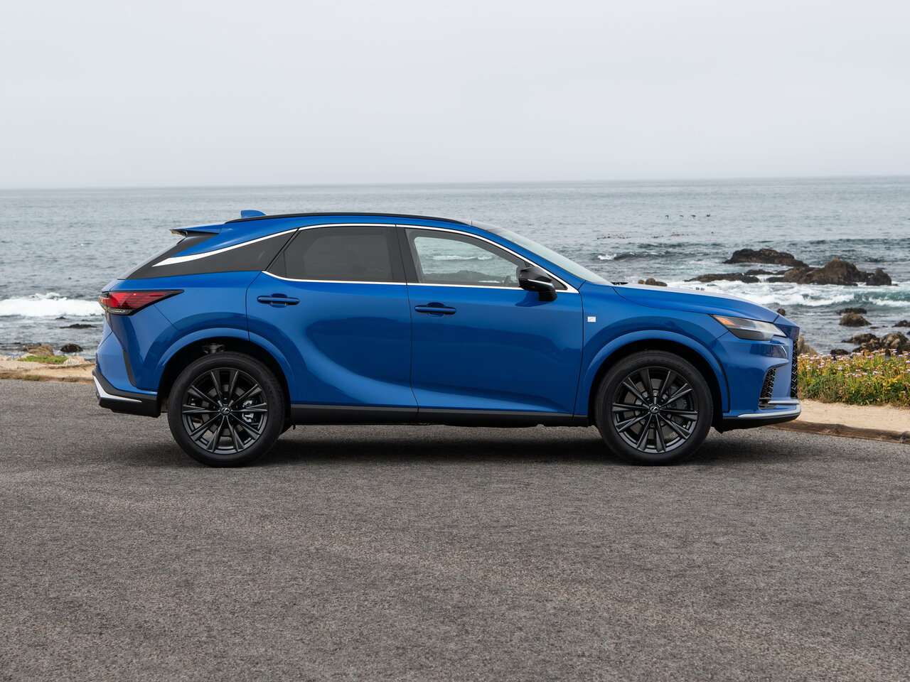 Lexus RX V