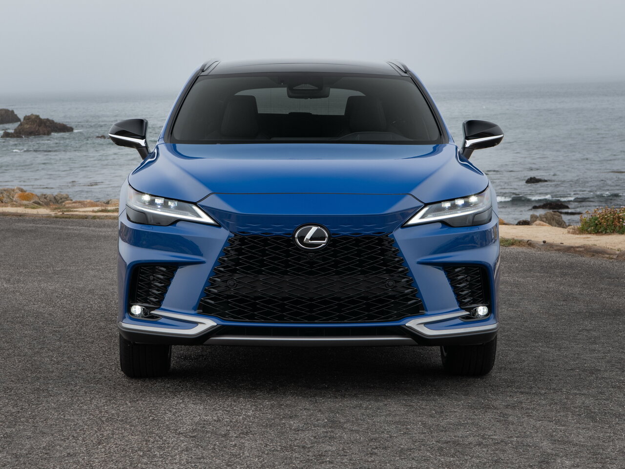 Lexus RX V
