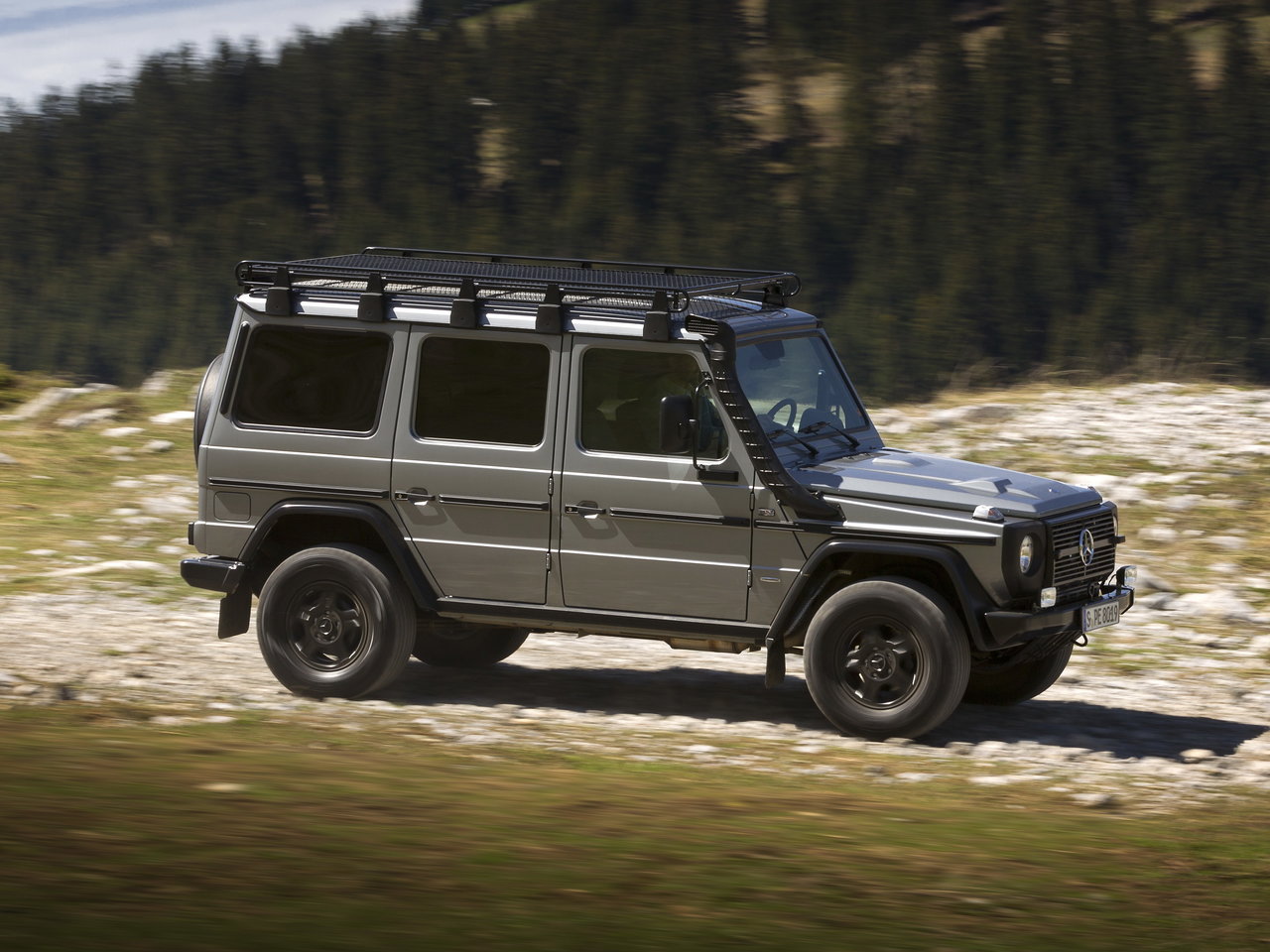 Mercedes-Benz G-Класс I (W461) Professional