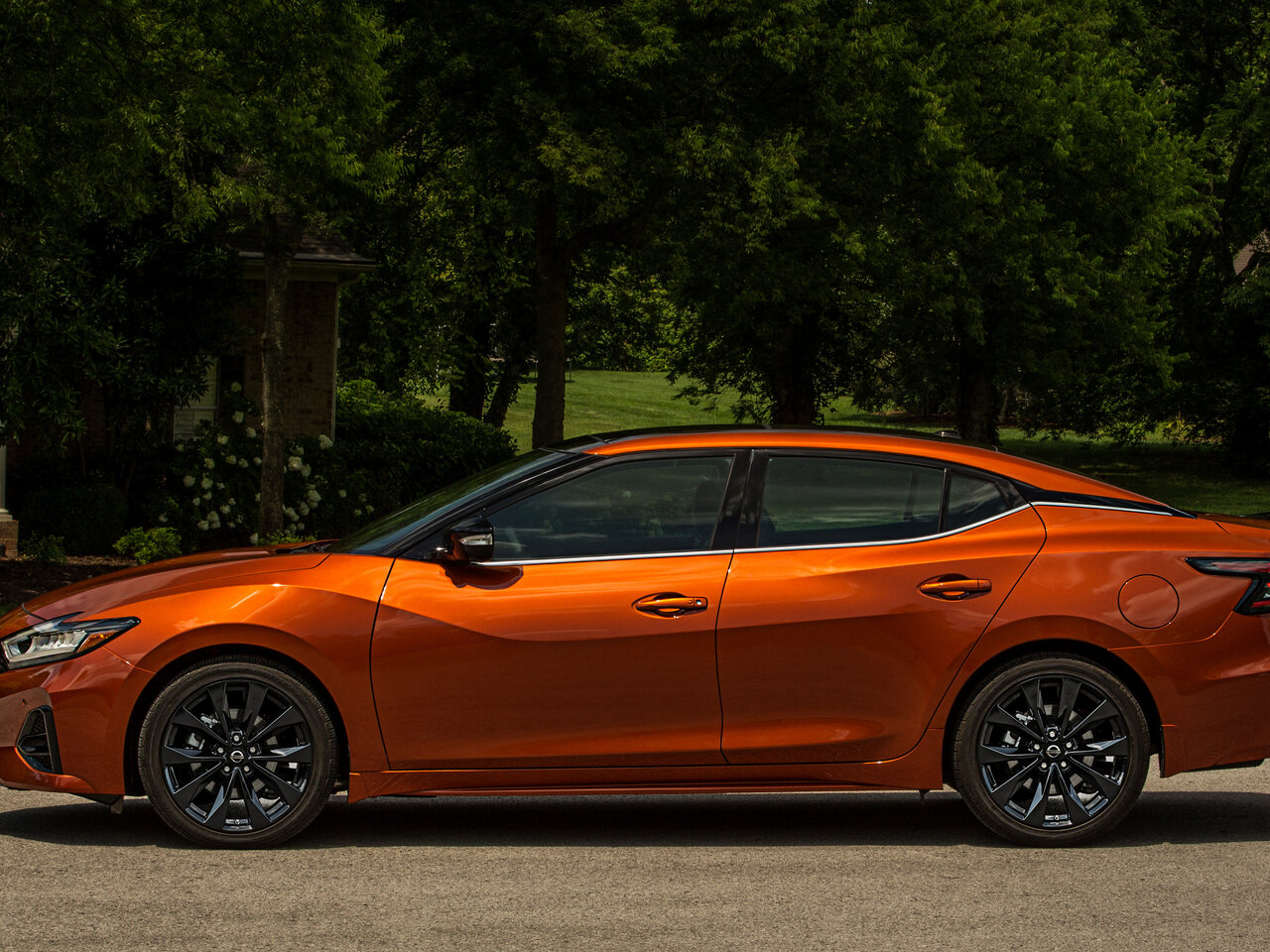 Nissan Maxima VIII (A36) Рестайлинг