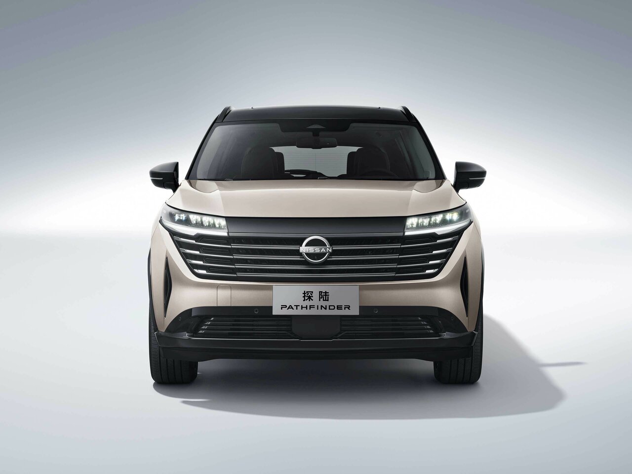 Nissan Pathfinder V (China Market)