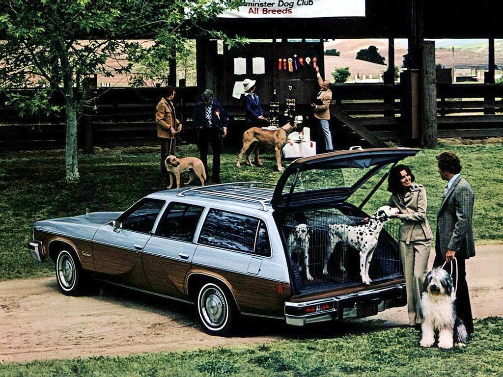 Oldsmobile Vista Cruiser III