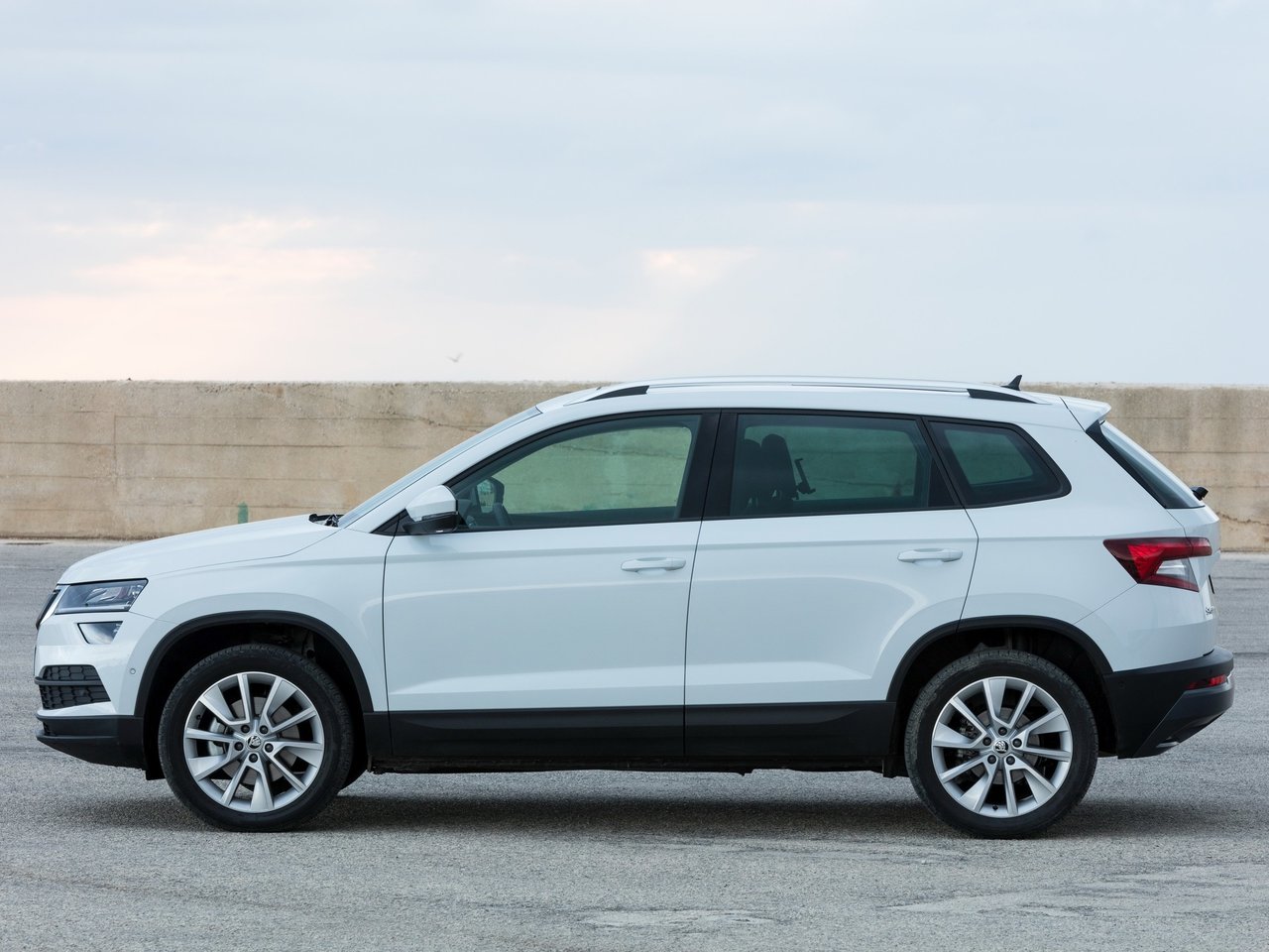 Skoda Karoq I