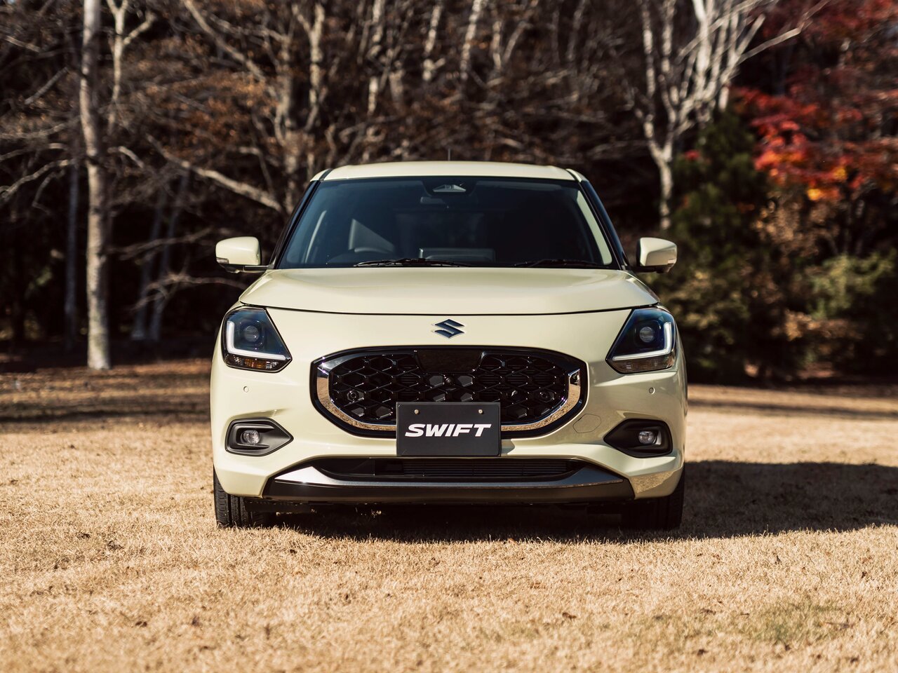 Suzuki Swift VI