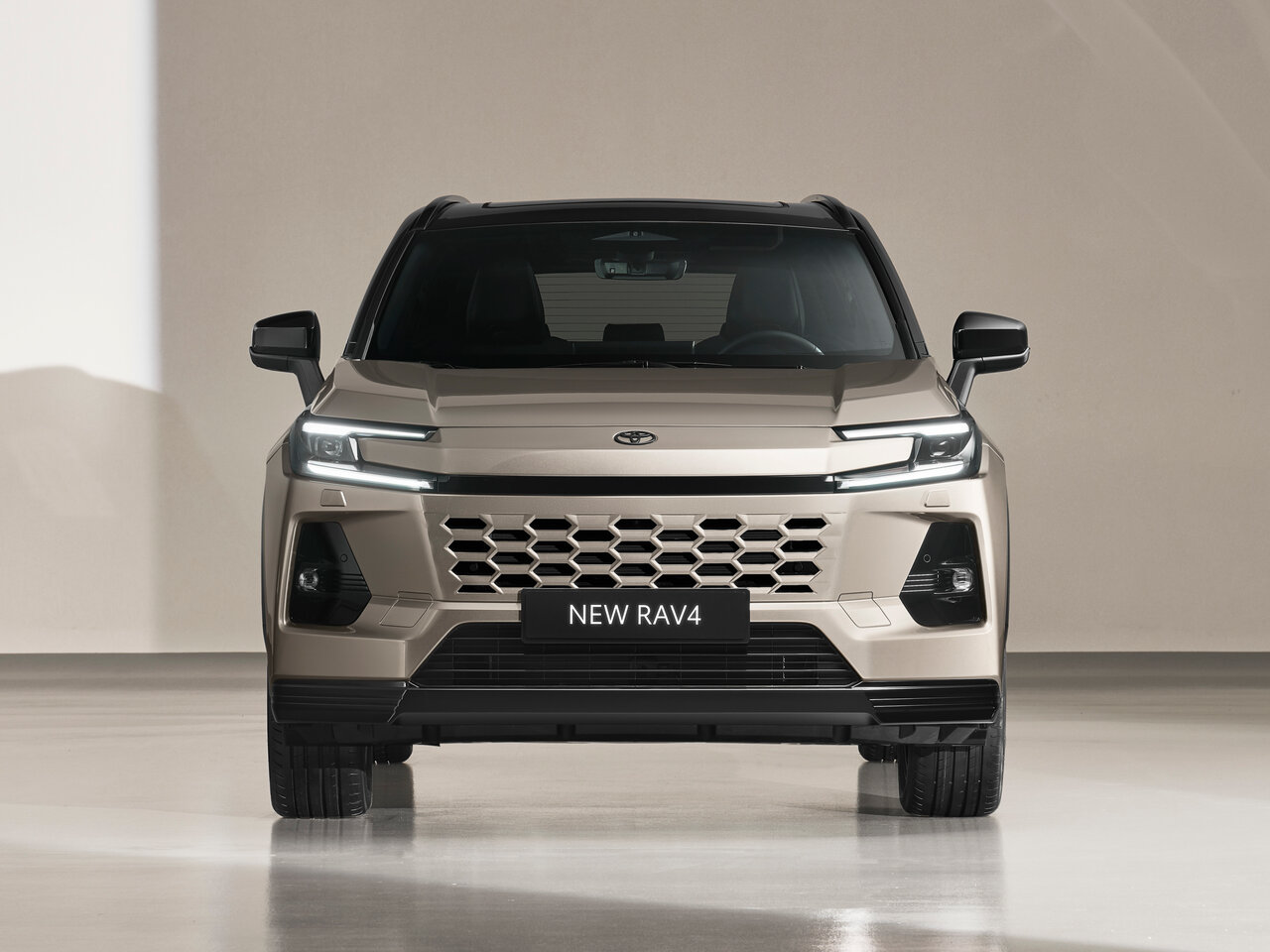 Toyota RAV4 VI (XA60)