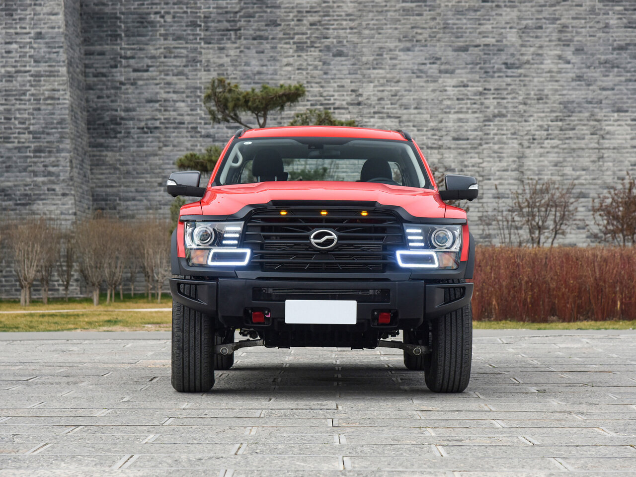 ZX Grandlion c 2021 года